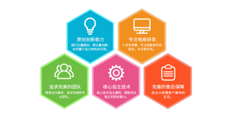 電商網站軟件服務 構建高效在線業務的關鍵